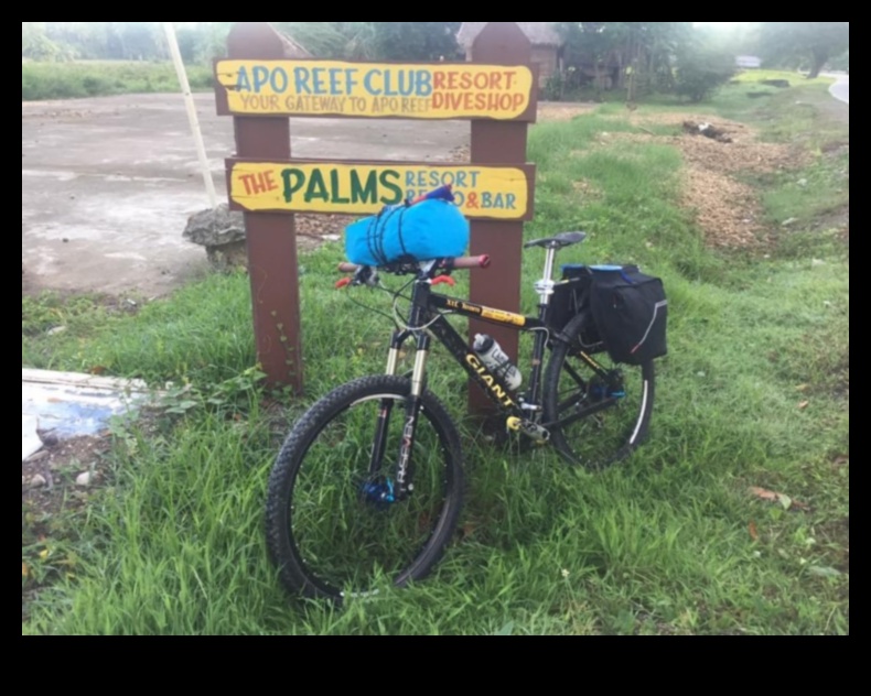 City Cycling Chronicles Ιστορίες μετακίνησης με ποδήλατο από όλο τον κόσμο 3 City Cycling Chronicles: Narratives from Commuting Cyclists