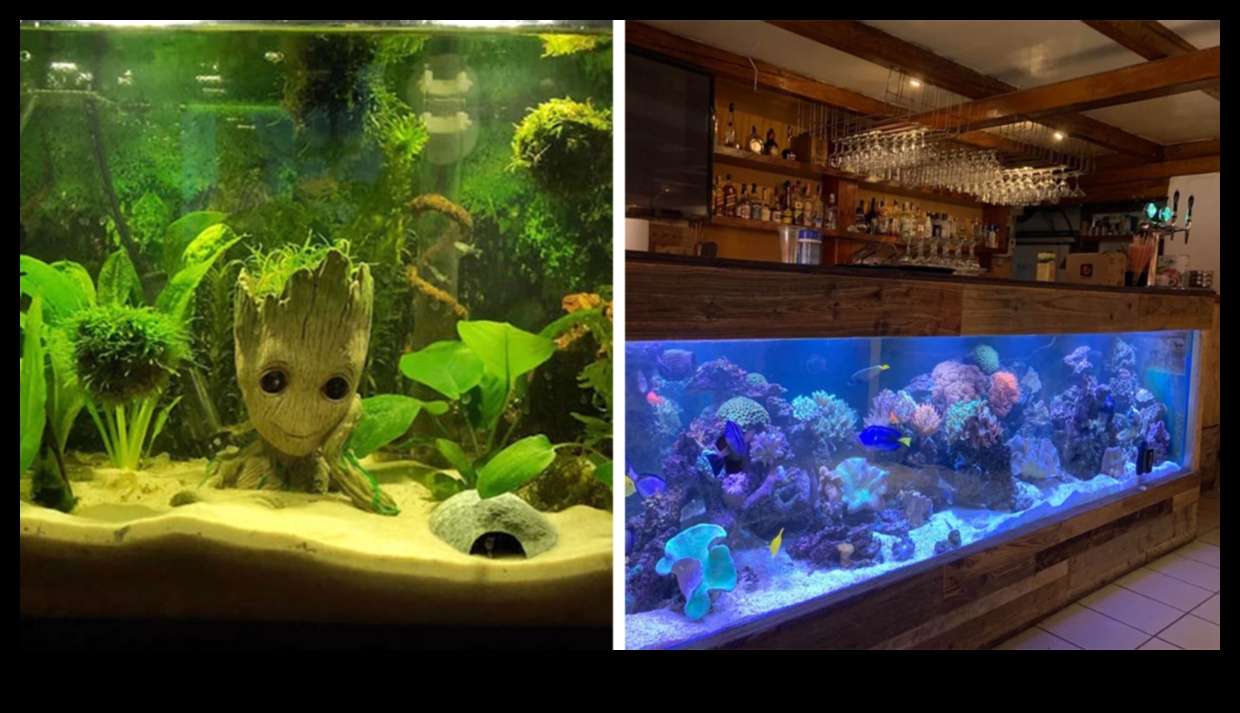 Fish Tank Artistry Continued Creative Themes for Different Aquarium Styles 3 Fish Tank Artistry Συνέχεια: Δημιουργικά θέματα για διαφορετικά στυλ ενυδρείου