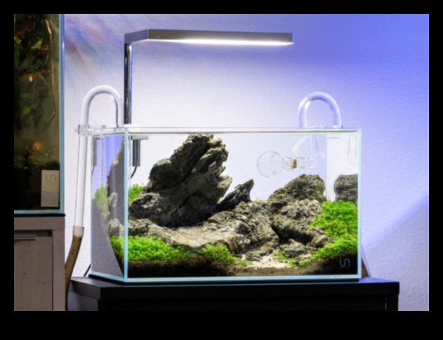Fish Tank Artistry Continued Creative Themes for Different Aquarium Styles 2 Fish Tank Artistry Συνέχεια: Δημιουργικά θέματα για διαφορετικά στυλ ενυδρείου