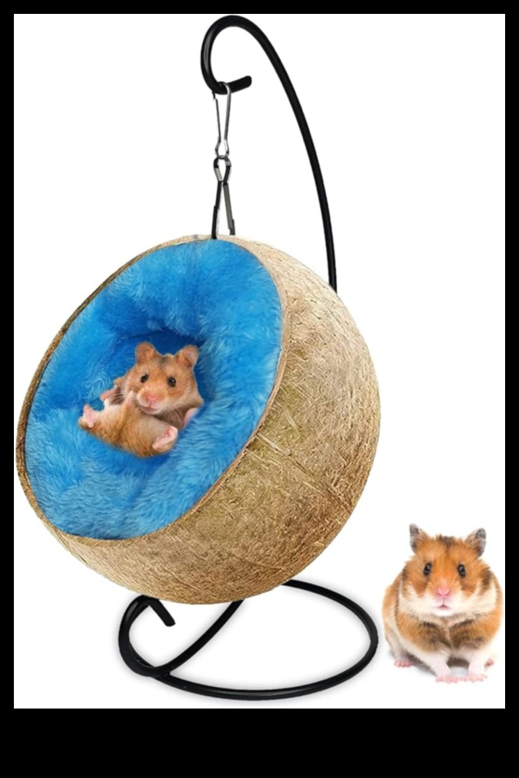 Το Hamster Homes συνέχισε να ενσωματώνει τις αιώρες και τις άνετες γωνίες 3 Hamster Homes Συνέχεια: Ενσωμάτωση αιώρων και άνετων γωνιών
