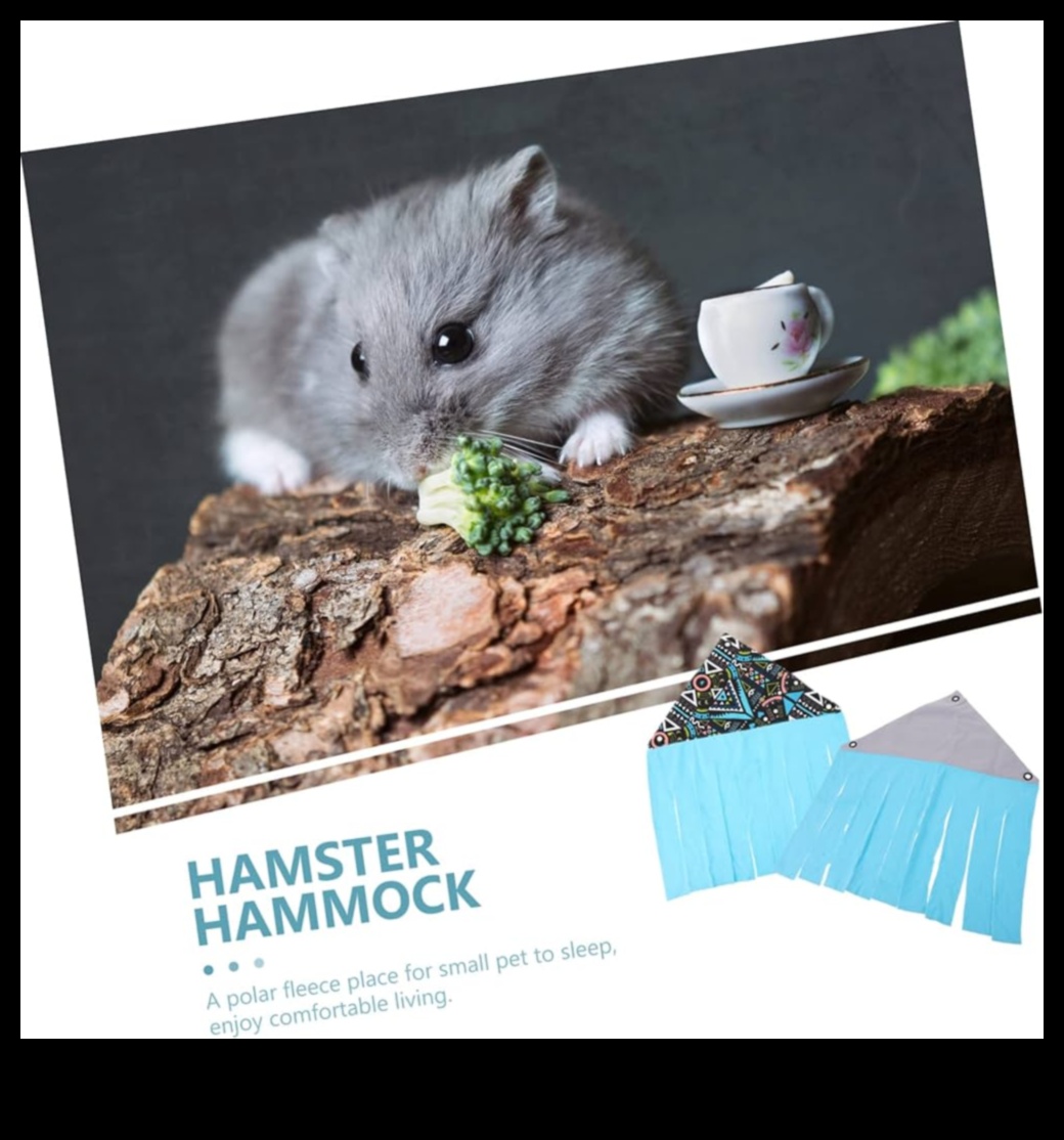 Το Hamster Homes συνέχισε να ενσωματώνει αιώρες και άνετες γωνίες 4 Hamster Homes Συνέχεια: Ενσωμάτωση αιώρων και άνετων γωνιών