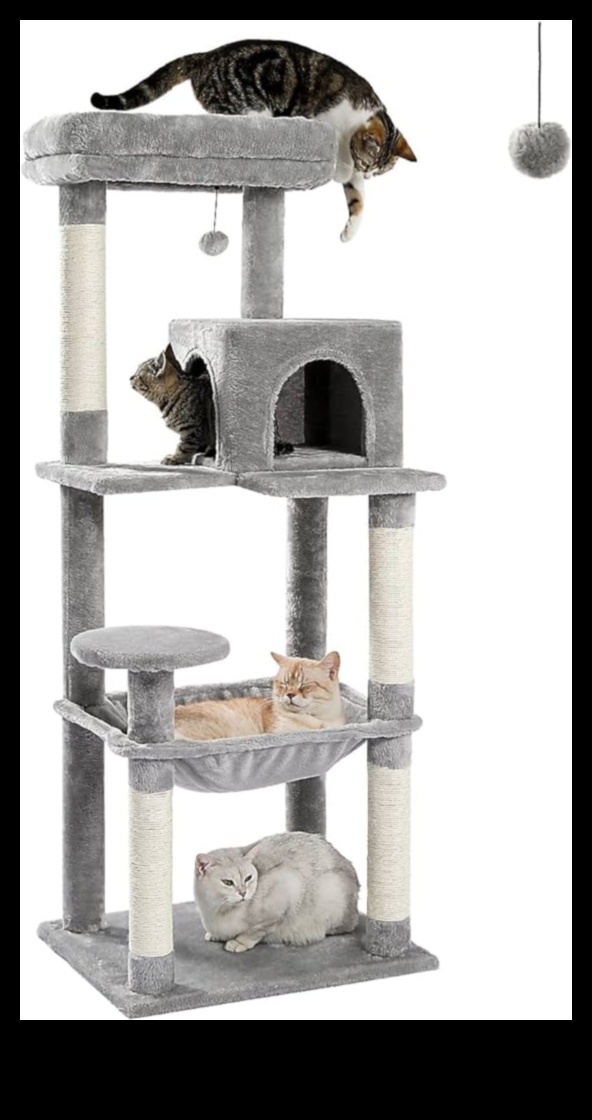 Cat Condos Continued: Ανυψωμένες δομές για κάθετη εξερεύνηση