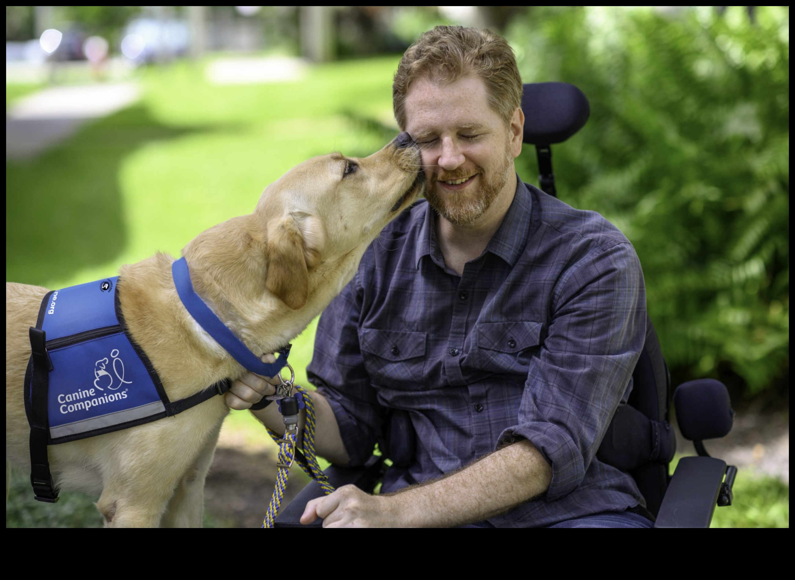 Καριέρες σκύλων που απελευθερώνουν τις δυνατότητες των σκύλων εργασίας 4 Καριέρες σκύλων: Απελευθερώνοντας το δυναμικό των σκύλων εργασίας