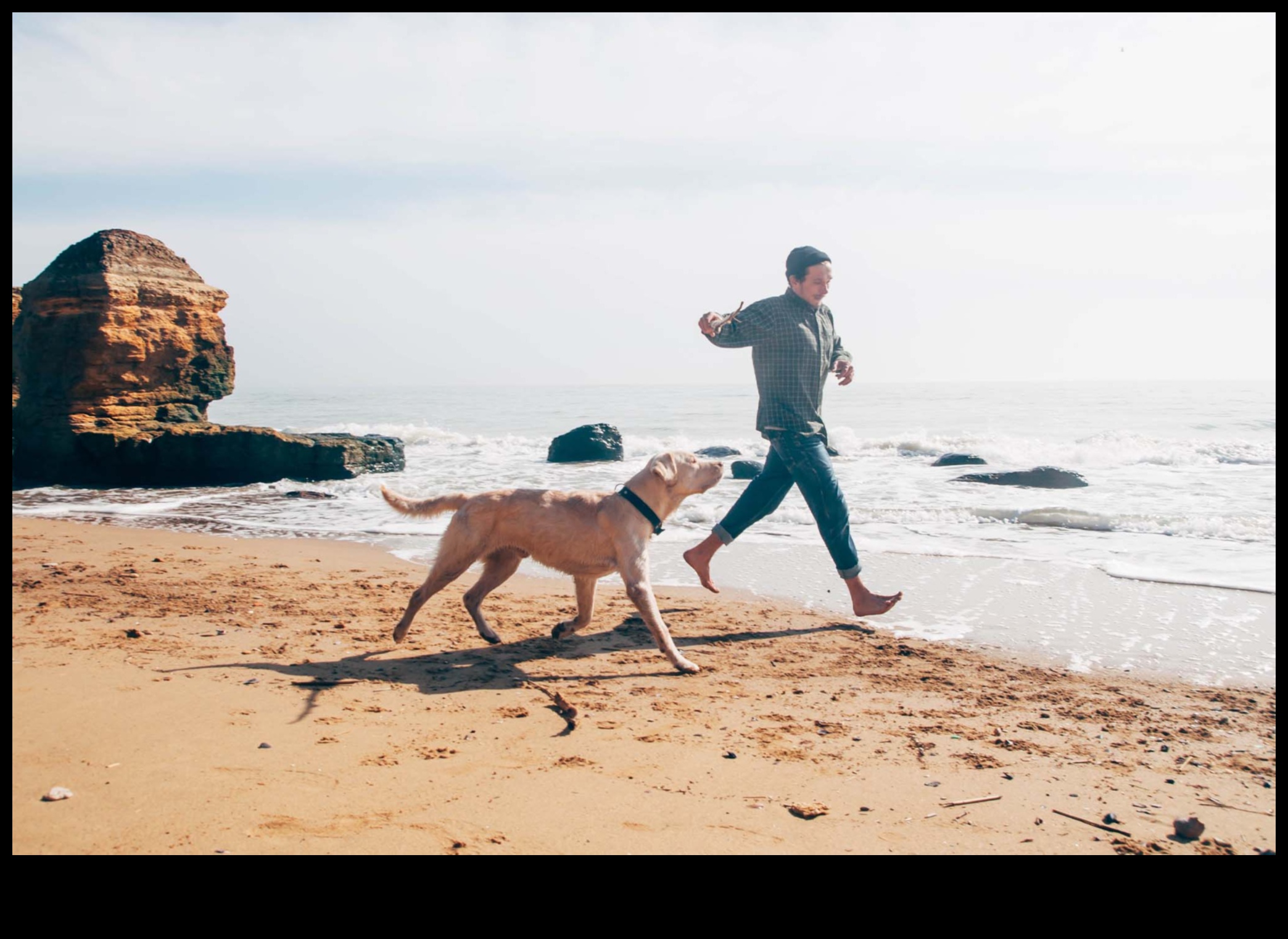 Προορισμοί Doggy που προγραμματίζουν την τέλεια απόδραση φιλική προς τα κατοικίδια 2 Doggy Destinations: Σχεδιάζοντας την τέλεια απόδραση φιλική προς τα κατοικίδια