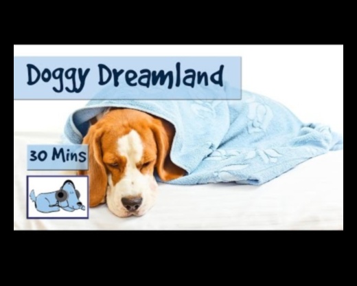 Doggy Dreamland: Δημιουργώντας έναν άνετο χώρο ύπνου