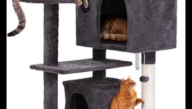 Cat Condos Συνέχισε έτσι τις Ανυψωμένες Δομές για Κατακόρυφη Ανακάλυψη 1 Cat Condos Continued: Ανυψωμένες δομές για κάθετη εξερεύνηση