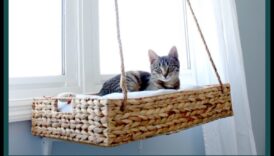 Κρεβάτια για γάτες DIY: Δημιουργία άνετων χώρων ύπνου για τη γάτα σας