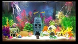 Fish Tank Artistry Συνέχεια: Δημιουργικά θέματα για διαφορετικά στυλ ενυδρείου