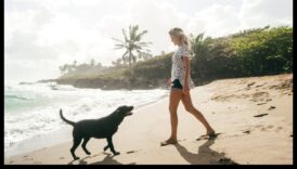 Doggy Destinations: Σχεδιάζοντας την τέλεια απόδραση φιλική προς τα κατοικίδια