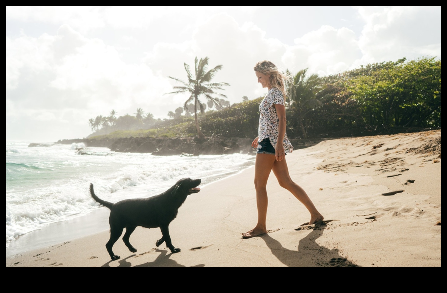 Προορισμοί Doggy που προγραμματίζουν την τέλεια απόδραση φιλική προς τα κατοικίδια 1 Doggy Destinations: Σχεδιάζοντας την τέλεια απόδραση φιλική προς τα κατοικίδια
