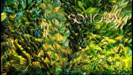 Κάνοντας σχέδια για Green Impact Sustainable Art που αφήνει μια μόνιμη αντίκτυπος 5 Designing for Green Impact: Τέχνη που αφήνει μια διαρκή βιώσιμη εντύπωση