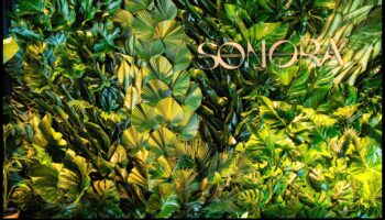 Designing for Green Impact: Τέχνη που αφήνει μια διαρκή βιώσιμη εντύπωση