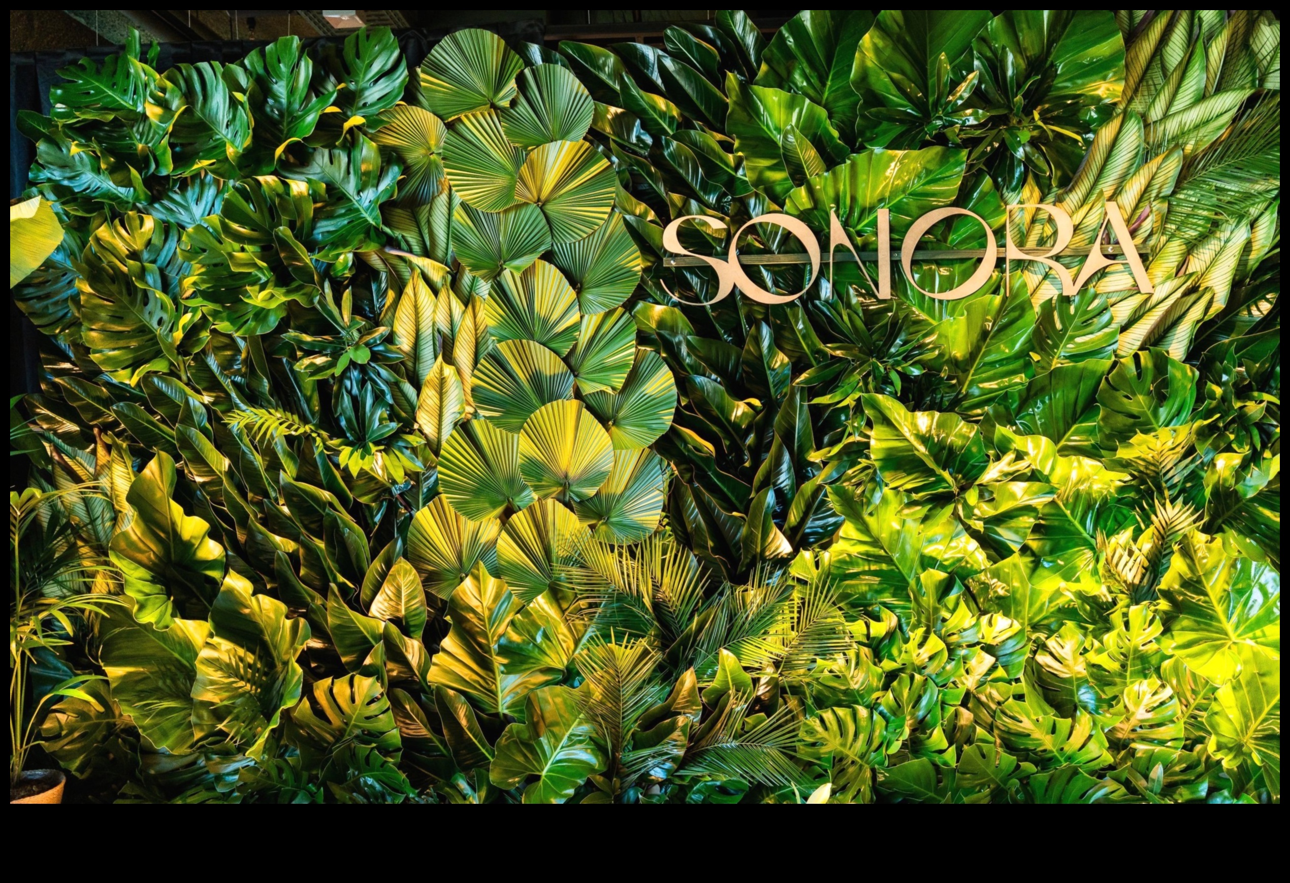 Σχεδιασμός για Green Impact Sustainable Art που αφήνει μια μόνιμη εντύπωση 1 Designing for Green Impact: Τέχνη που αφήνει μια διαρκή βιώσιμη εντύπωση